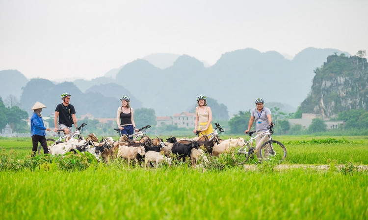 Travel guides for Hoa Lu Ancient Capital in Ninh Binh