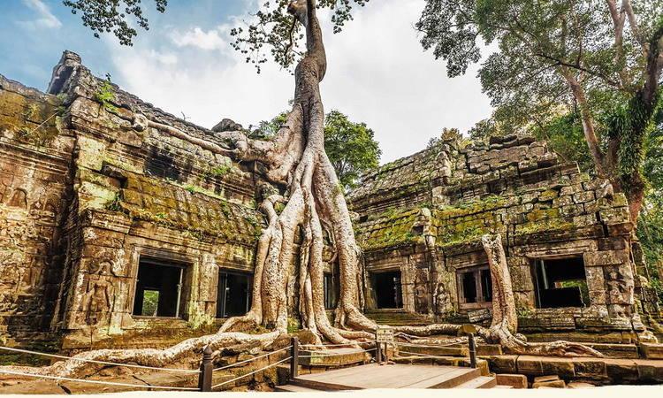 Ta Prohm Temple Tours in Cambodia