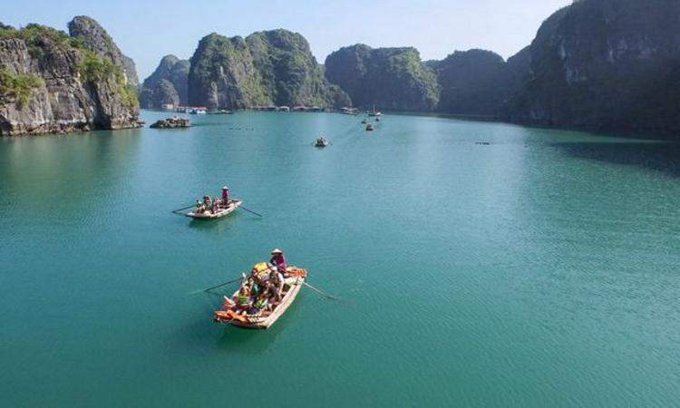 Halong Bay Cruises