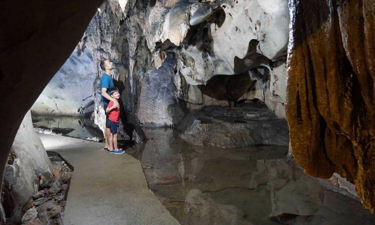 All about Cat Ba National Park