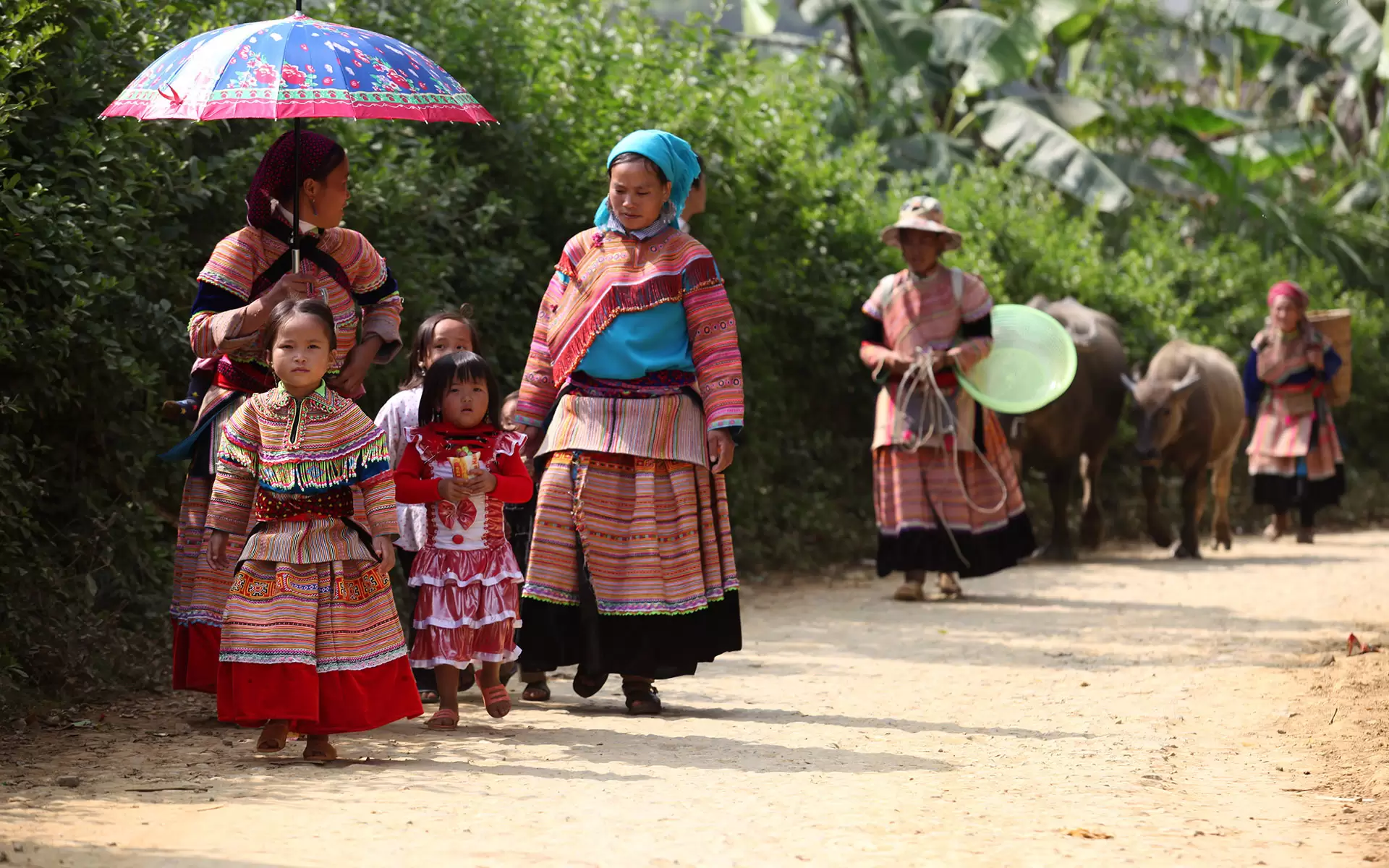 ethnic minority in Northern Vietnam