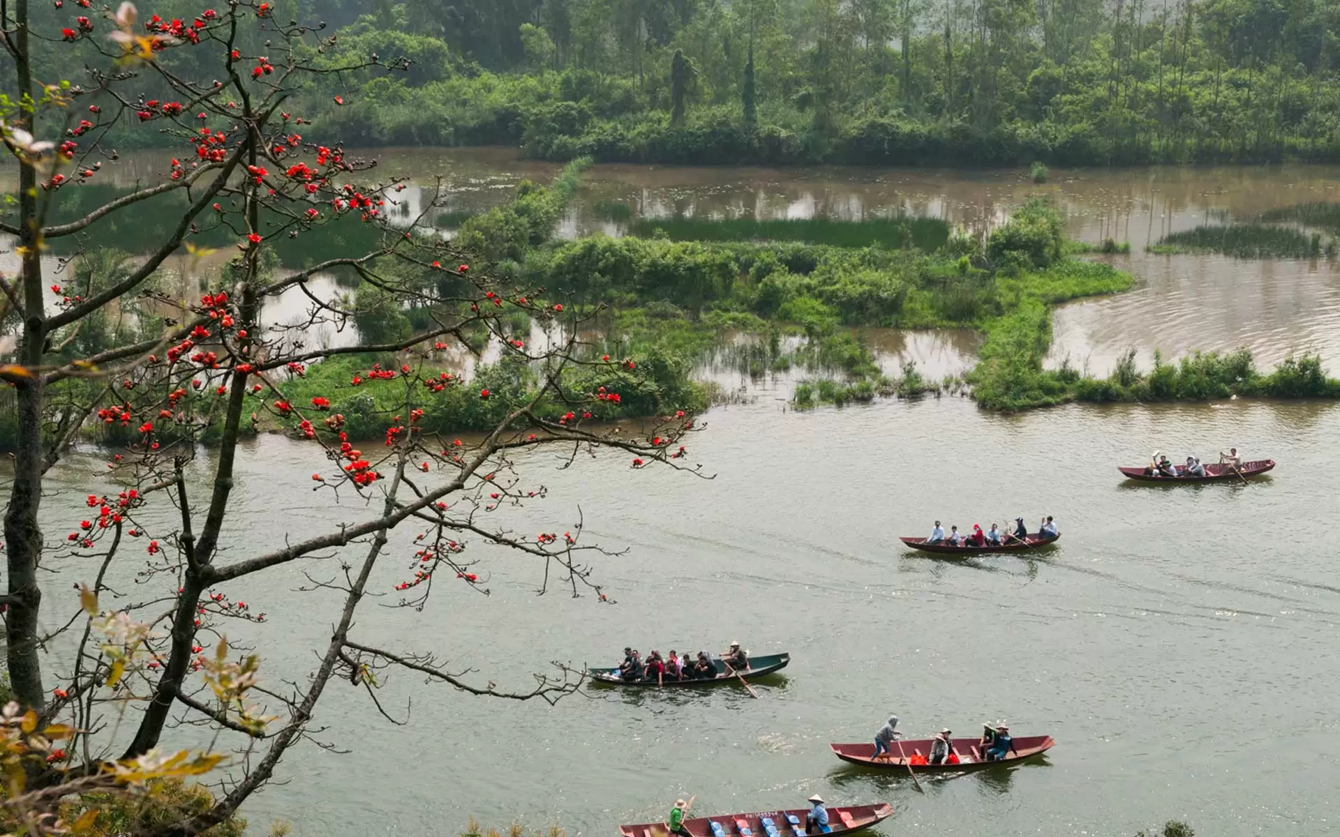 Tourists take boat trip along Yen Stream during red silk cotton flower blooming season.